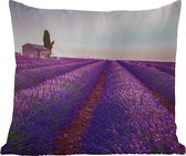 Buitenkussen Weerbestendig - Lavendel - Zonsondergang - Paars - Bloemen - 50x50 cm