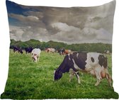 Sierkussen Buiten - Koeien - Weiland - Natuur - Dieren - Landschap - 60x60 cm - Weerbestendig