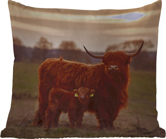 Sierkussen Buiten - Schotse hooglander - Dieren - Landschap - Zonsondergang - Koe - 60x60 cm - Weerbestendig