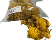 Rendiermos, mos Geel 100 gram. Geschikt voor decoraties, mosschilderijen, moswanden, bloemstukjes