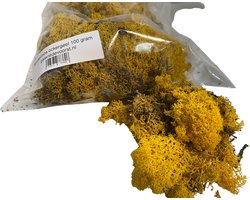 Rendiermos, mos Geel 100 gram. Geschikt voor decoraties, mosschilderijen, moswanden, bloemstukjes