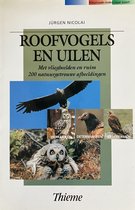 Roofvogels En Uilen