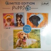 Puppies - Limited Edition