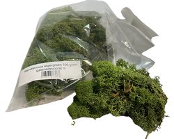 Rendiermos, mos Leger groen 100 gram. Geschikt voor decoraties, mosschilderijen, moswanden, bloemstukjes