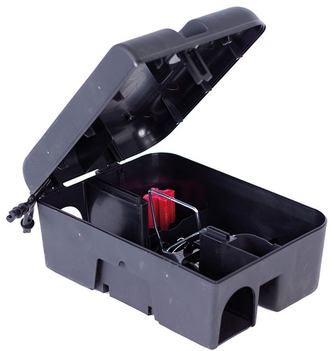 Rotech Rascal Ratbox