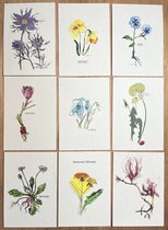 wensinkstories lente ecokaarten wenskaarten kunstkaarten set 10stuks