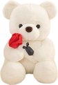 Teddybeer Wit met Rode Roos 23 cm