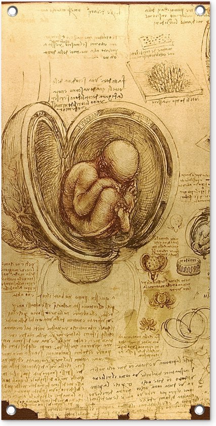 Tuinposter Baby in the womb - Leonardo da Vinci - 40x80 cm - Wanddecoratie Buiten - Tuinposter - Tuindoek - Schuttingposter - Tuinschilderij