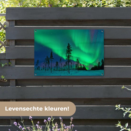 Posters de jardin Aurores boréales - Suède - Arbre - 90x60 cm