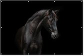 Muurdecoratie Paard - Dier - Zwart - 180x120 cm - Tuinposter - Tuindoek - Buitenposter