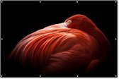 Décoration murale Flamingo - Ressorts - Rose - 180x120 cm - Poster de jardin - Toile de jardin - Poster extérieur