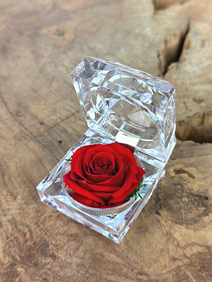 Rode Longlife Roos in transparante "jewel" giftbox | De ultieme gift | Perfect cadeau voor jouw geliefde