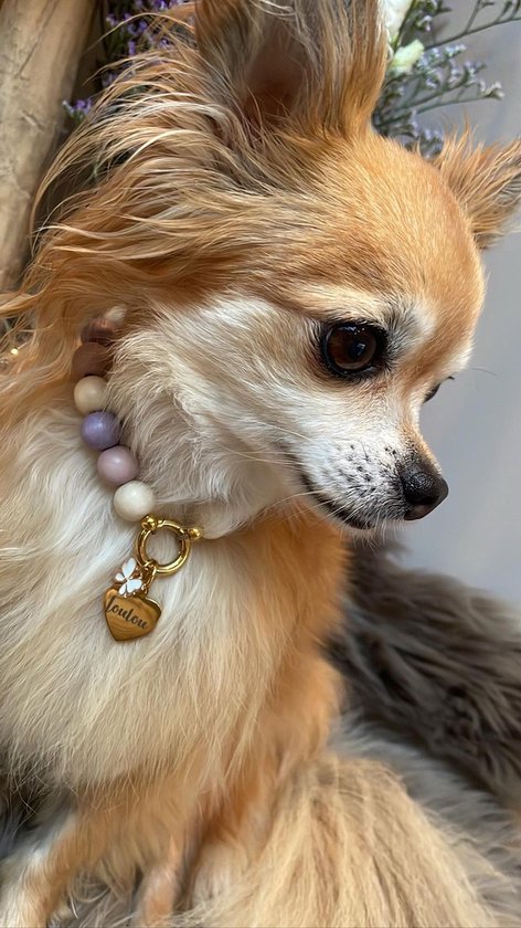 Knuffel je Hond: Een Dag van Verbinding en Gezondheid