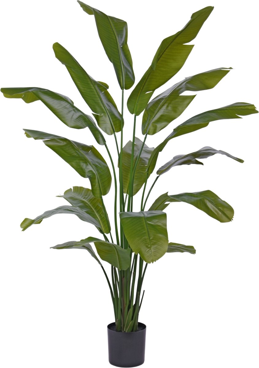 maxifleur Kunstplanten Traveller Palm promo 190cm Groen
