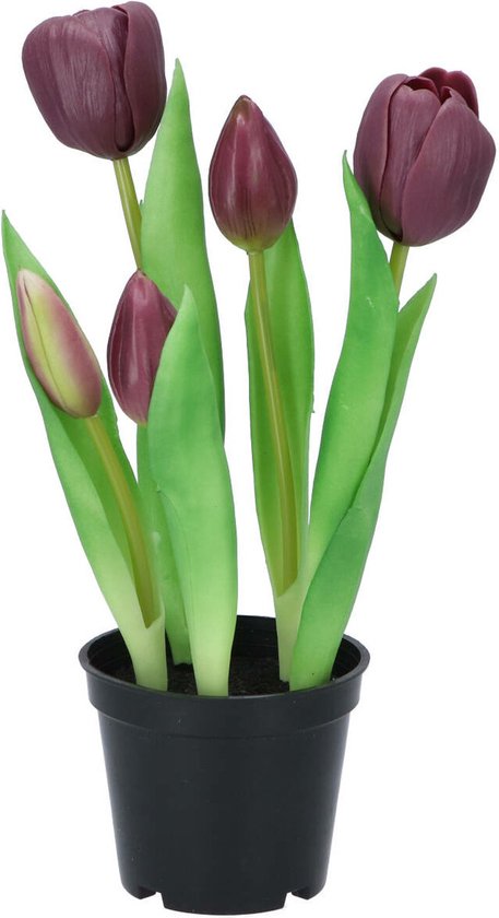 DK Design Kunst tulpen Holland in pot - 5x stuks - donker paars - real touch - 26 cm - levensechte kunstbloemen