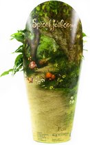 Goed & Groen - Ficus Green Kinky - Sprookjesboom - Efteling - ↨ 30cm - Potmaat 14 - Exclusieve Kwaliteit Planten - Kamer Plant - Kamerplanten - Sfeer - Interieur