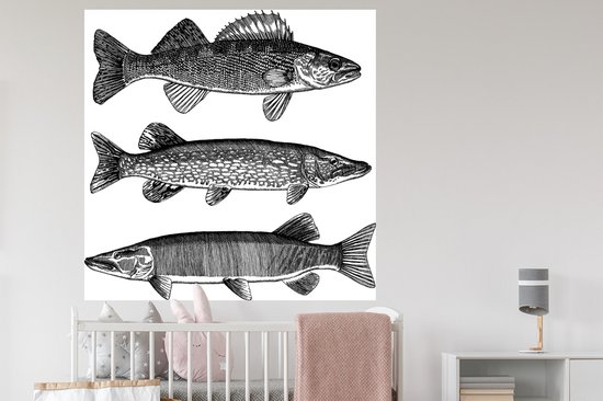 Sticker Muursticker Illustration Pêche - trois poissons - 120x120 cm - film adhésif autocollant - sticker mural repositionnable XXL /