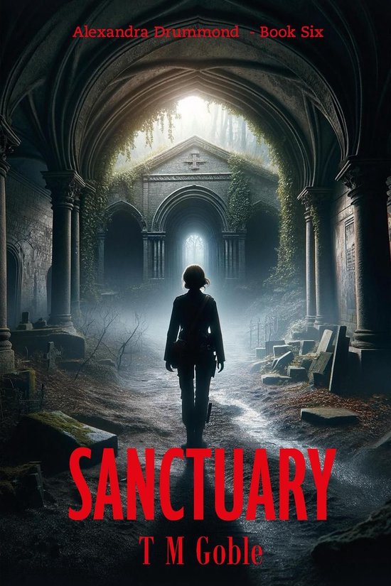 Alexandra Drummond Thriller Series 6 - Sanctuary (ebook), T M Goble ...