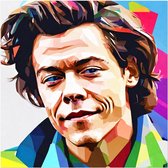 Harry Styles one direction poster | Meidenposter | poster Harry Styles | 50 x 50 cm | pop art streetart | WALWALLS.STORE
