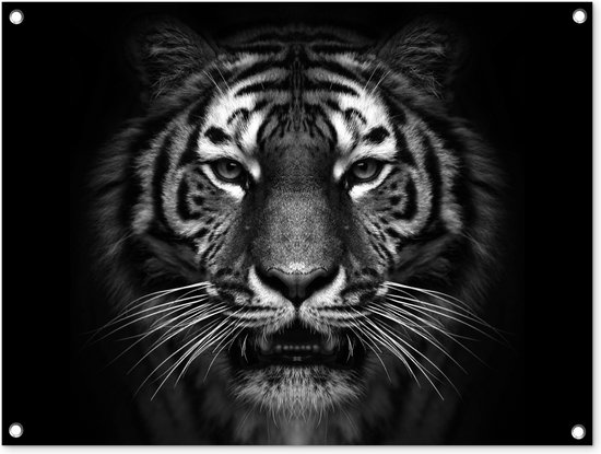 Tableau jardin Tigre - Animaux - Zwart - Wit - Portrait - Sauvage - 80x60 cm - Affiche jardin - Toile jardin - Affiche extérieur