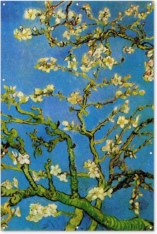 Muurdecoratie Amandelbloesem - Vincent van Gogh - 120x180 cm - Tuinposter - Tuindoek - Buitenposter