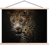 120 cm x 90 cm