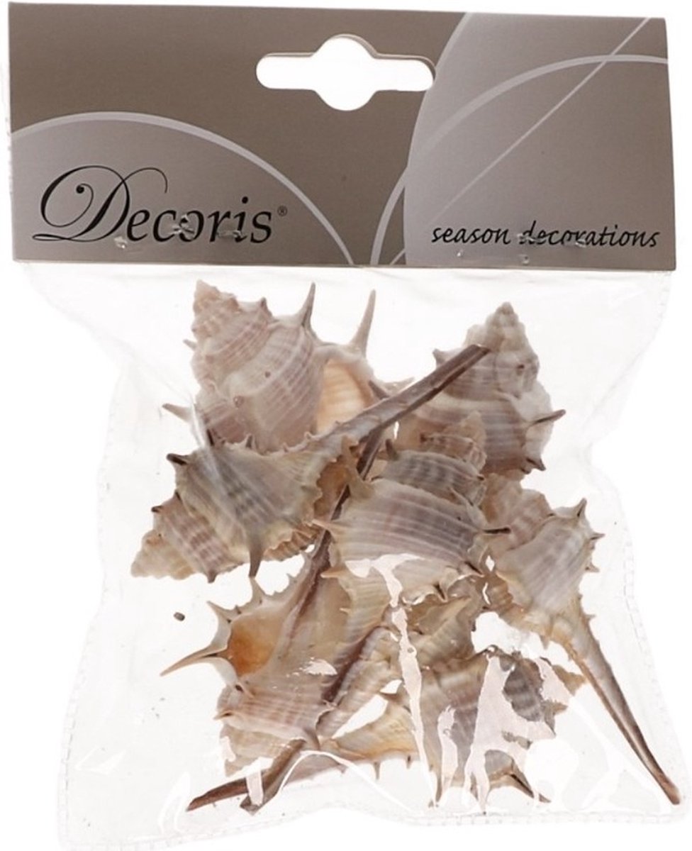 Decoris Decoratie schelpen Thorn - 6 cm - Natuurlijke schelpjes - Maritiem - strand thema - woondecoratie