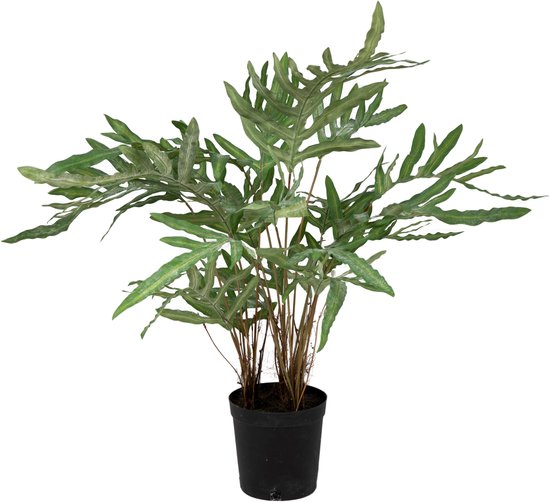Viv! Home Luxuries Blauwvaren (Phlebodium) - kunstplant - groen - 80cm Blauwvaren / Kunststof / Groen
