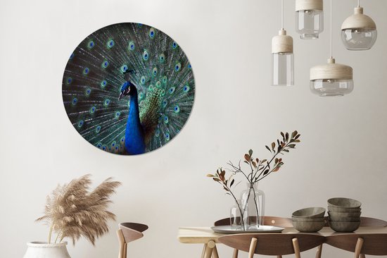 WallCircle - Cercle mural ⌀ 90 - Paon - Ressorts - Couleurs - Tableaux ronds salon - Plaque murale ronde - Cercle Décoration murale - Décoration chambre intérieur - Décoration murale - Accessoires de maison