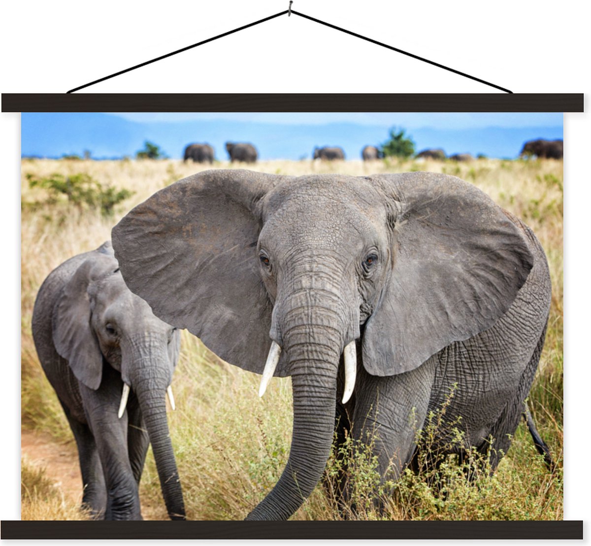 Posterhanger incl. Poster 120x90 cm - Schoolplaat - Olifant - Dieren - Gras - Natuur - Textielposter - Zwarte latten op Prijzenvolger.com