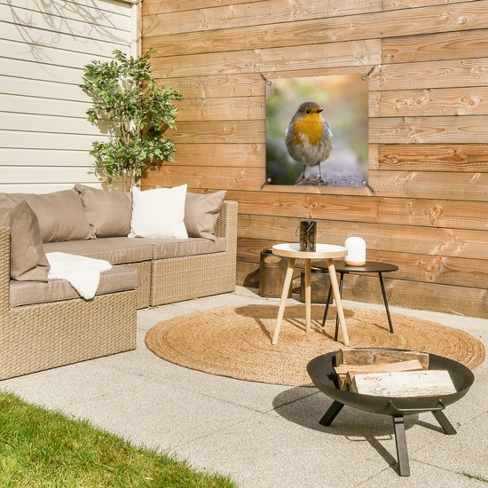 Tuinposter vogels - Roodborstje - Portret - Natuur - Tak - Tuindecoratie - Schuttingdoek - Schutting decoratie - Tuin - Tuinschilderij voor buiten - 50x50 cm - Tuindoek - Tuinposters buiten