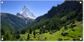 Tuinposter Zwitserse Alpen in Matterhorn met groene bomen - 80x40 cm - Wanddecoratie Buiten - Tuinposter - Tuindoek - Schuttingposter - Tuinschilderij