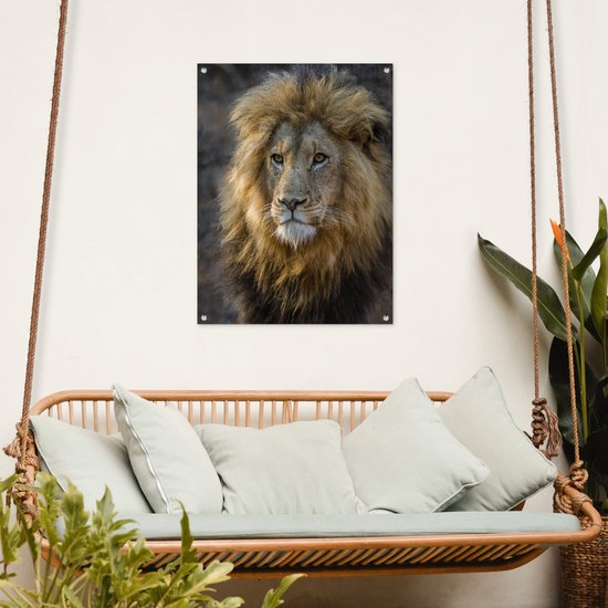 Poster Jardin Roi Lion 40x60 cm - petit - Toile de jardin / Toile d'extérieur / Peintures d'extérieur (décoration de jardin)