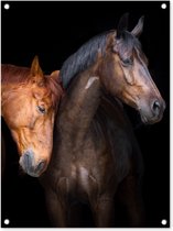 Tuinschilderij Paarden - Dieren - Portret - Bruin - 60x80 cm - Tuinposter - Tuindoek - Buitenposter