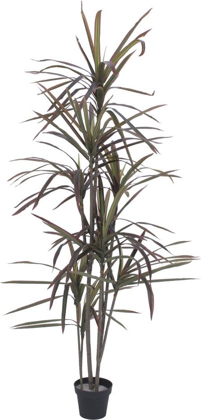 Europalms kunstplant - Dracaena - groen-rood - 180cm