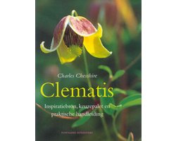 Clematis