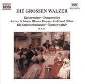 Various Artists - Great Waltzes (CD)