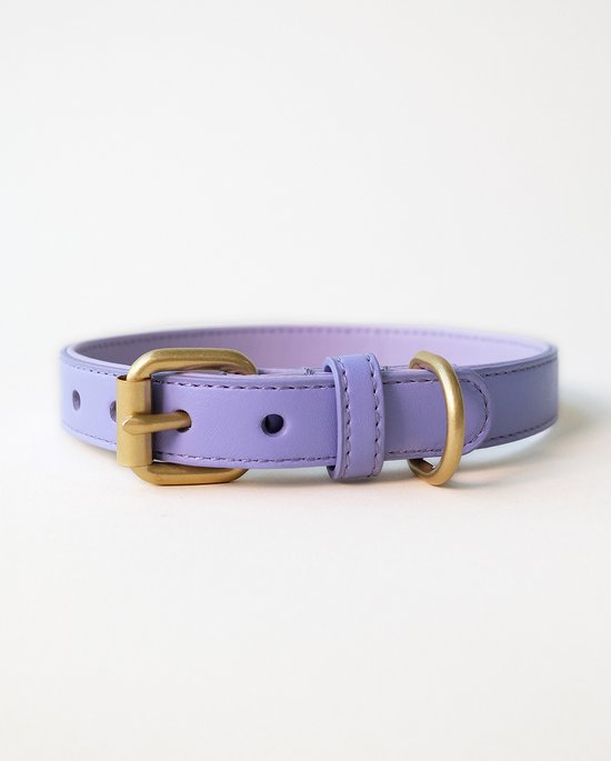 Foto: Wiggled hondenhalsband vegan leer maat s 25cm 33cm nek en 1 5 cm breed trendy en hip bijpassende riem mogelijk kleine hond lila