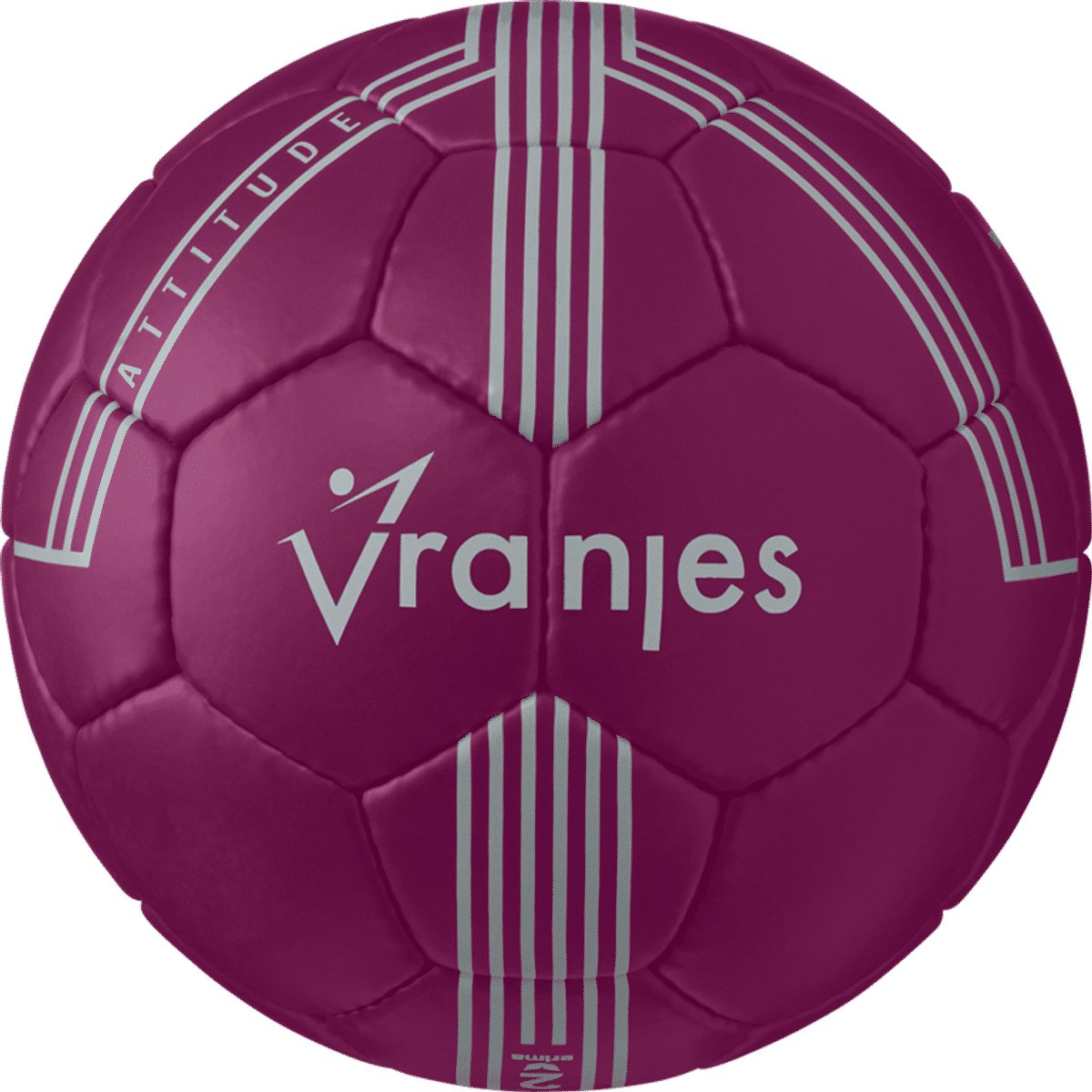 Erima Vranjes Handbal - Aubergine | Maat: 2