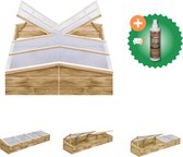 vidaXL Kweekkassen 2 st 200x50x35 cm geïmpregneerd grenenhout Kas Inclusief Houtreiniger en verfrisser