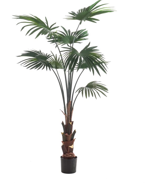 Emerald - Kunstplant Livistona Palm 150cm - Kunstplanten voor binnen