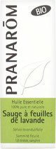 Pranarôm Etherische Olie van Lavendel Salie (Salvia Lavandulifolia), Biologisch 10 ml