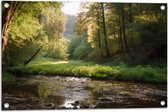 Tuinposter – Bos - Natuur - Water - Beekje - Stenen - Bomen - 75x50 cm Foto op Tuinposter (wanddecoratie voor buiten en binnen)
