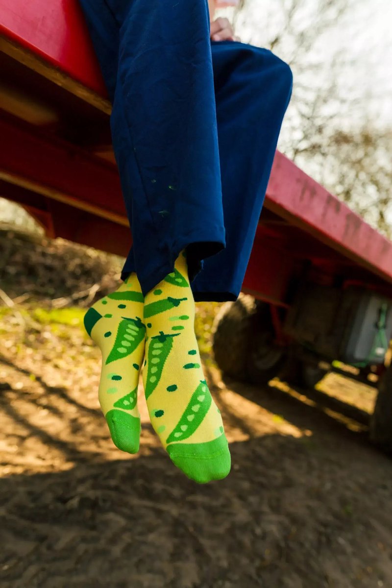 Boontjes sok | Groentesok | Groene Sok | Multi-color | Maat 36-40 | Herensokken en damessokken | Leuke, grappig sokken | Funny socks that make you happy | Sock & Sock
