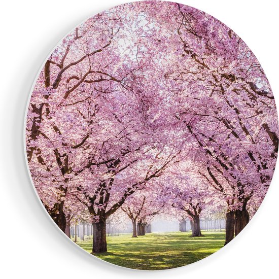 Artaza Forex Muurcirkel Roze Bloesembomen Park - Bloemen - 90x90 cm - Groot - Wandcirkel - Rond Schilderij - Muurdecoratie Cirkel