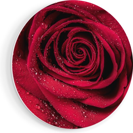 Artaza Forex Muurcirkel Rode Roos Met Waterdruppels - Bloem - 90x90 cm - Groot - Wandcirkel - Rond Schilderij - Muurdecoratie Cirkel