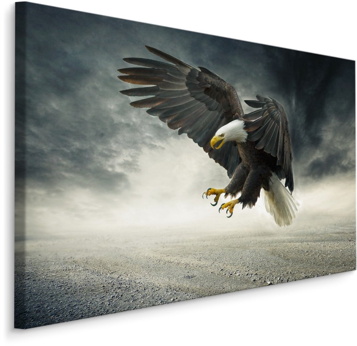 karo-art Schilderij - Adelaar in de Storm, Premium Print Multikleur
