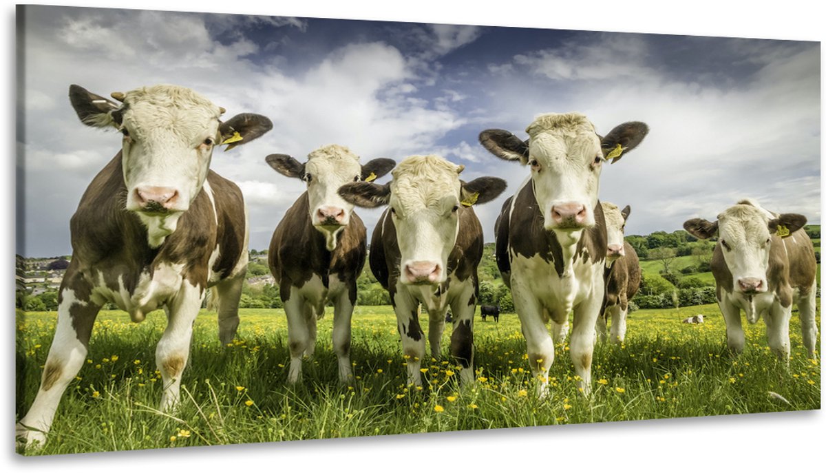 karo-art Schilderij - Koeien op een rij, 100x50, Premium print Multikleur