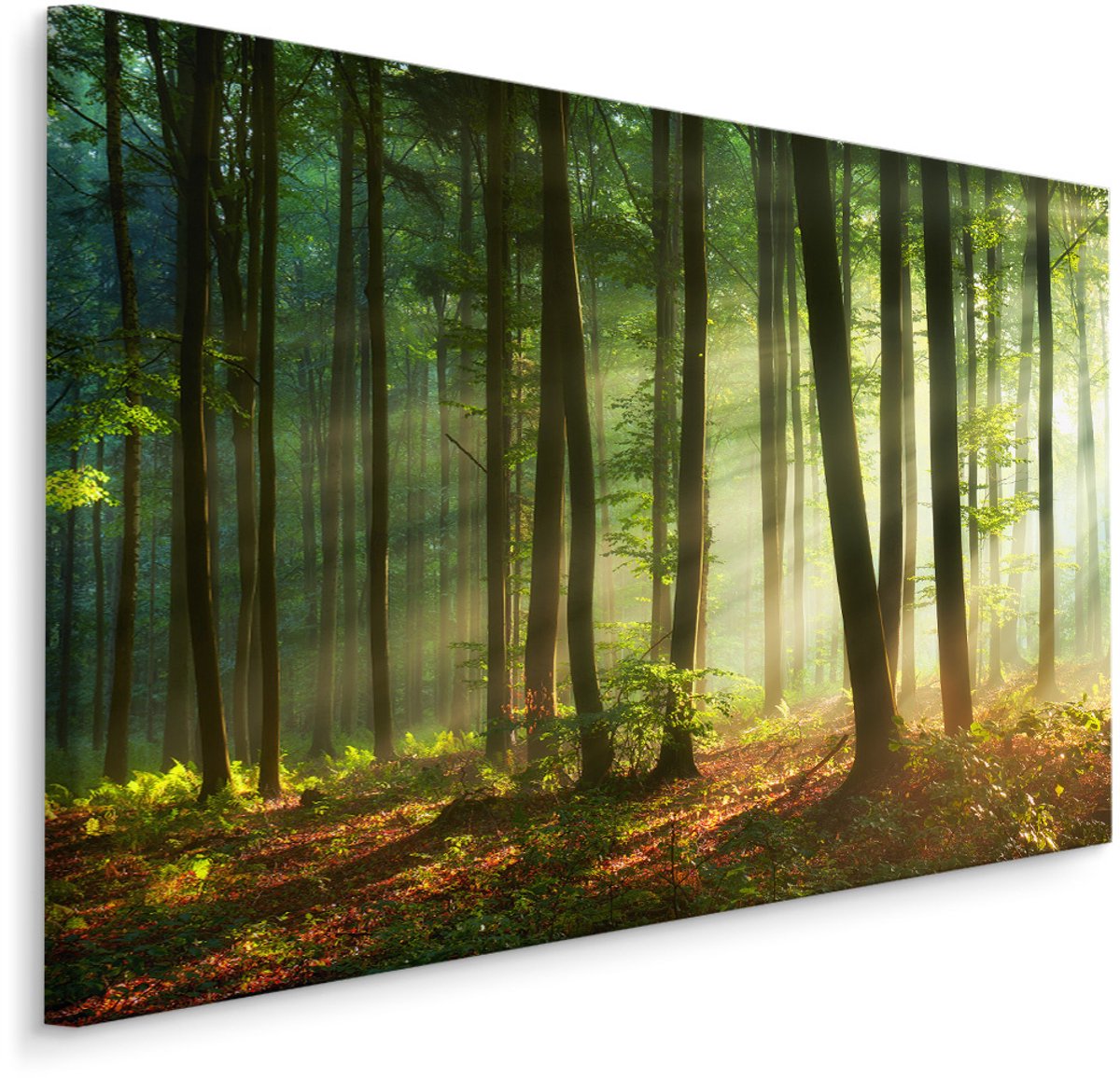 karo-art Schilderij - Prachtige ochtend in het bos, een echte eyecatcher, premium print Multikleur