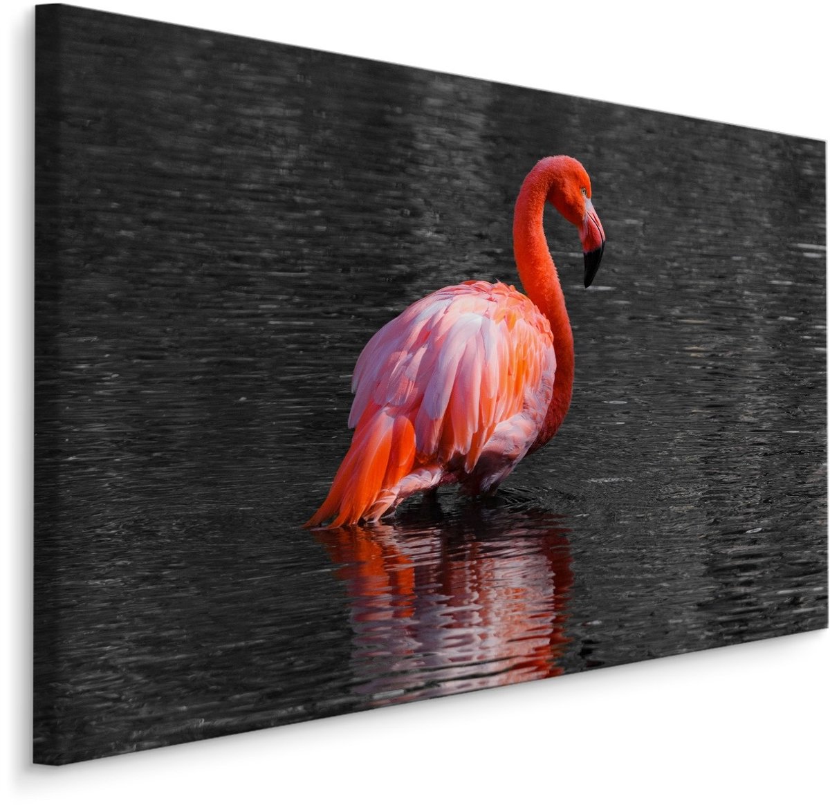 Schilderij - Flamingo in het water, 4 maten, roze/grijs, Premium print